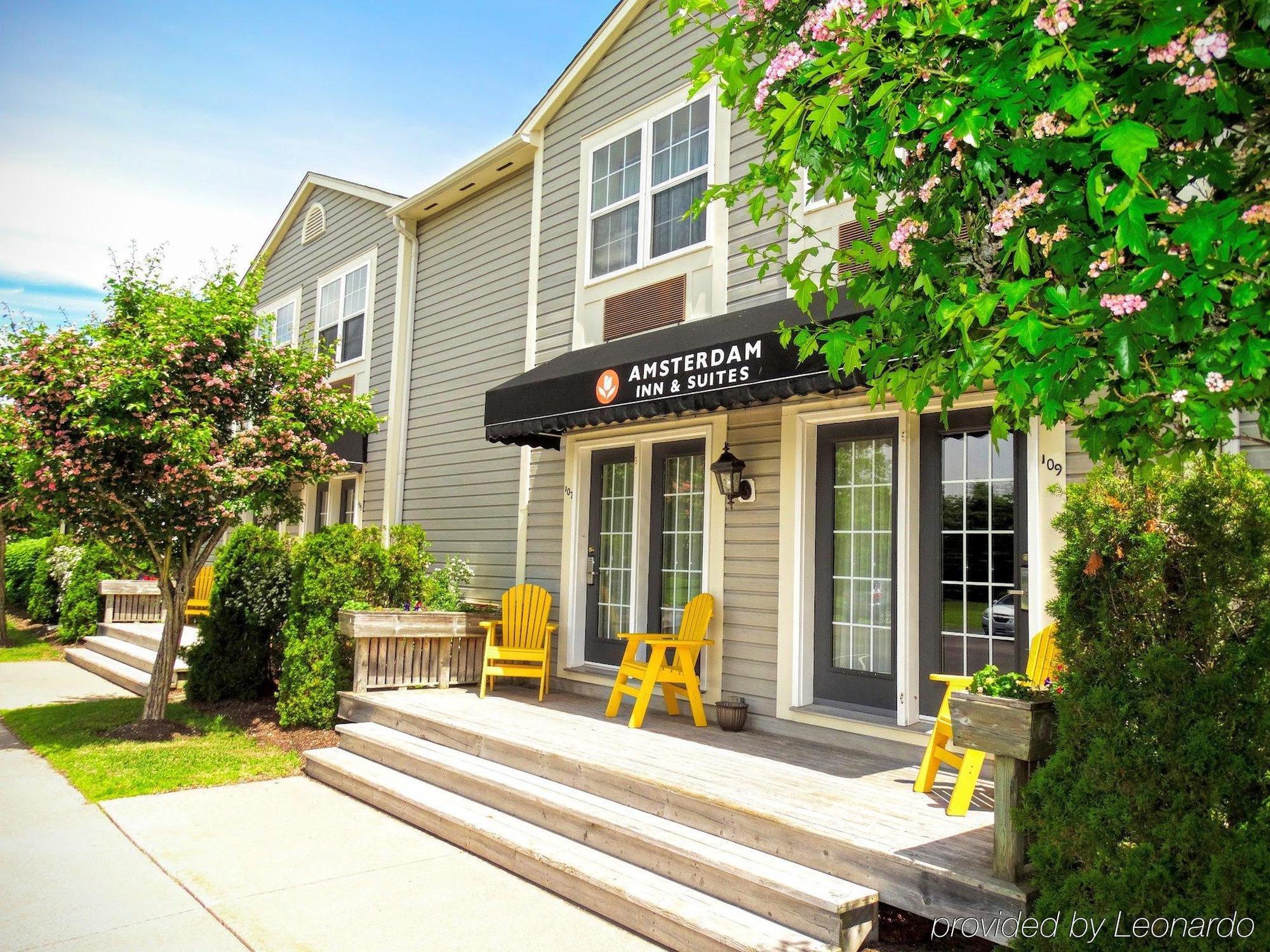 Amsterdam Inn & Suites Sussex Εξωτερικό φωτογραφία